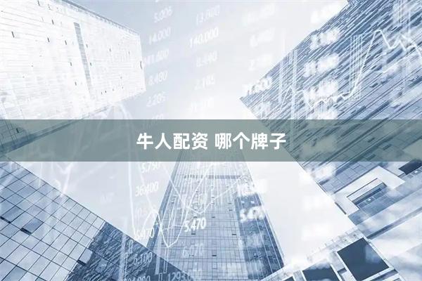 牛人配资 哪个牌子