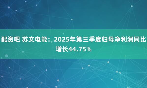 配资吧 苏文电能：2025年第三季度归母净利润同比增长44.75%