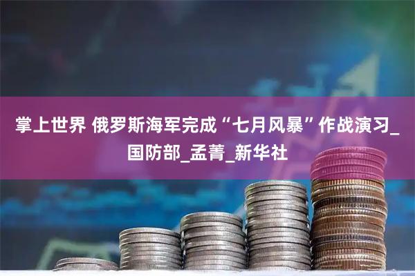 掌上世界 俄罗斯海军完成“七月风暴”作战演习_国防部_孟菁_新华社